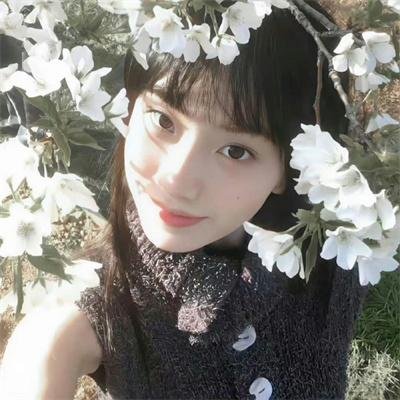 房子的故事