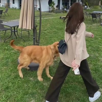 万水千山总是情粤语